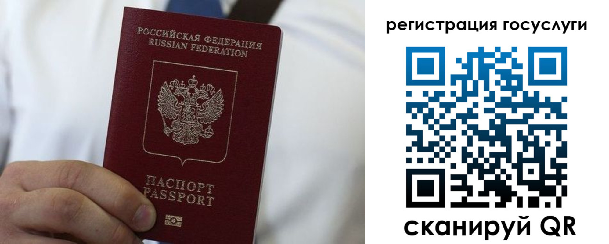 прописка в Ростовской области